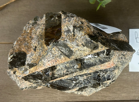 Biotite