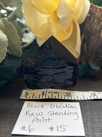 Black Obsidian Raw Standing Point #6