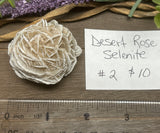 Desert Rose Selenite #2