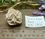 Desert Rose Selenite #3