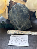 Kambaba Jasper Large Raw #1