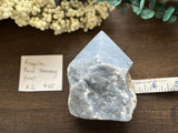Angelite Raw Standing Point #2