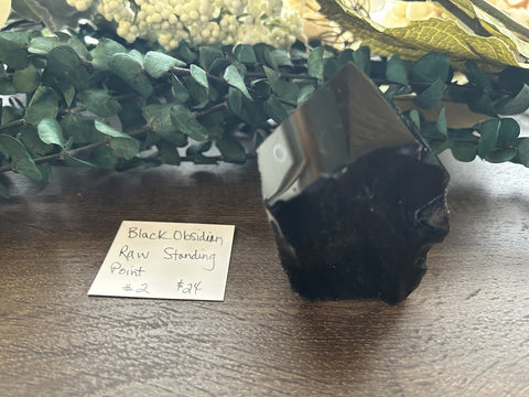 Black Obsidian Raw Standing Point #2