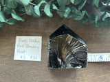 Black Obsidian Raw Standing Point #3