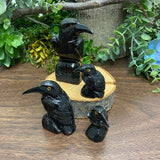 Black Onyx - Raven Large