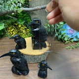 Black Onyx - Raven Large