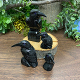 Black Onyx - Raven Large