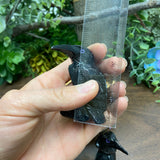 Black Onyx - Raven Medium