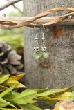 Green Apatite Earrings