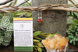 Red Aventurine Earrings