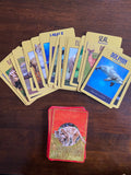 Power Animal Oracle Cards