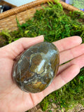 Jasper Egg