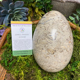 Shell Fossil Egg - Large