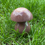 Ocean Jasper Mushroom - Medium