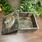 Ammonite Square Box - Large