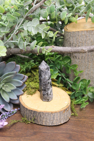 Larvikite Obelisk #1