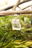 Icelantic Spar Calcite Pendant