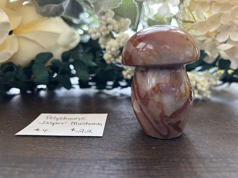 Polychrome Jasper Mushroom #4