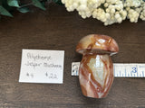 Polychrome Jasper Mushroom #4