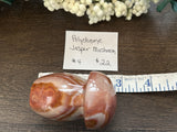 Polychrome Jasper Mushroom #4