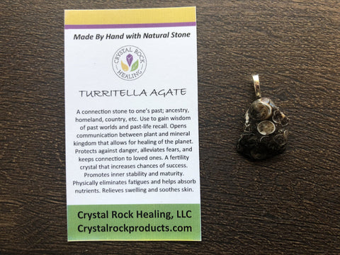 Turritella Agate Pendant