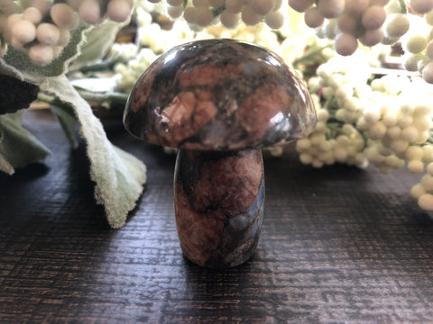 Glaucophane Jasper Mushroom #1