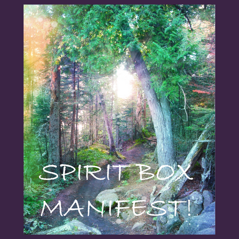 Spirit Box™ - Manifest!