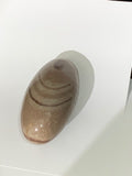 Shiva Lingam
