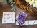 Amethyst Cluster #4