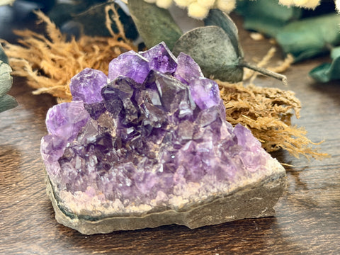 Amethyst Cluster #5