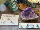Amethyst Cluster #5