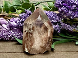 Amphibole #1