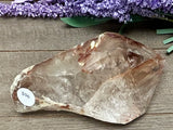 Amphibole #2