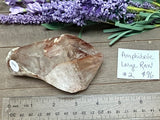 Amphibole #2