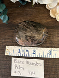 Black Moonstone Palm #3