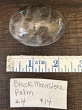 Black Moonstone Palm #4