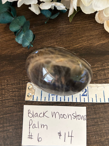 Black Moonstone Palm #6