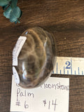 Black Moonstone Palm #6