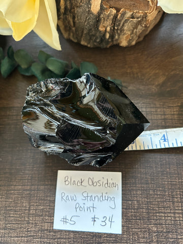 Black Obsidian Raw Standing Point #5