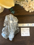 Blue Kyanite Large #3