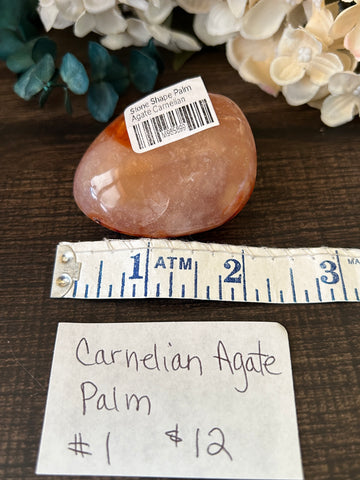 Carnelian Agate Palm #1