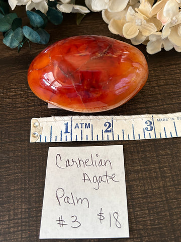 Carnelian Agate Palm #3