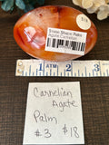 Carnelian Agate Palm #3