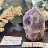 Chevron Amethyst Raw Standing Point #2