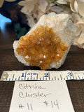 Citrine Cluster #11