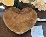 Fossilized Coral Heart Bowl #1