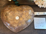 Fossilized Coral Heart Bowl #1
