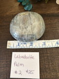 Labradorite Palm #2