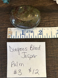 Dragon's Blood Jasper Palm #3