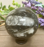 Orthoceras Sphere #1